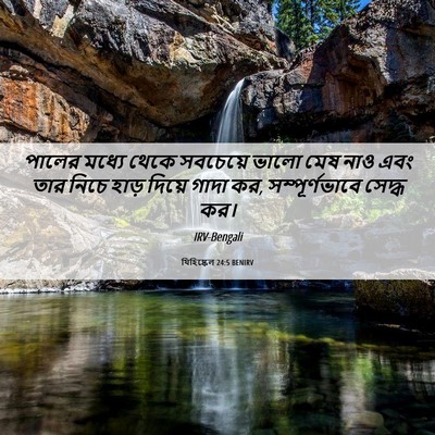 Picture 06 - যিহিষ্কেল 24:5 BENIRV - পালের মধ্যে থেকে - Bible Verse Picture