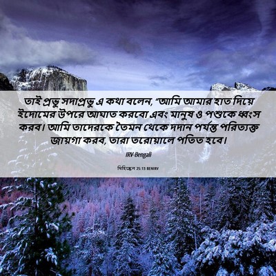 Picture 06 - যিহিষ্কেল 25:13 BENIRV - তাই প্রভু - Bible Verse Picture