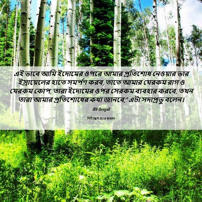 Picture 06 - যিহিষ্কেল 25:14 BENIRV - এই ভাবে আমি ইদোমের - Bible Verse Picture