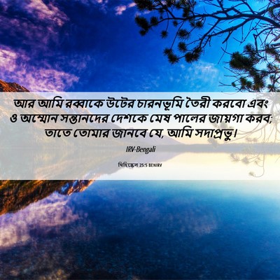 Picture 06 - যিহিষ্কেল 25:5 BENIRV - আর আমি রব্বাকে - Bible Verse Picture