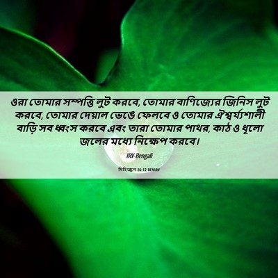 Picture 06 - যিহিষ্কেল 26:12 BENIRV - ওরা তোমার - Bible Verse Picture
