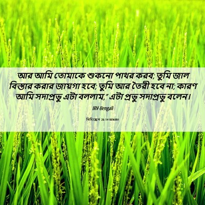 Picture 06 - যিহিষ্কেল 26:14 BENIRV - আর আমি তোমাকে - Bible Verse Picture