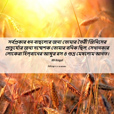 Picture 06 - যিহিষ্কেল 27:18 BENIRV - সর্বপ্রকার - Bible Verse Picture