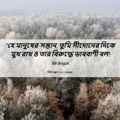 Picture 06 - যিহিষ্কেল 28:21 BENIRV - “হে - Bible Verse Picture