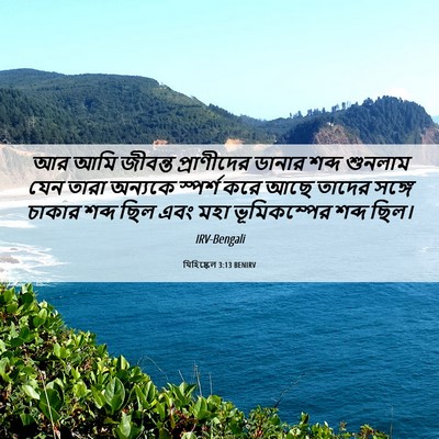 Picture 06 - যিহিষ্কেল 3:13 BENIRV - আর আমি জীবন্ত - Bible Verse Picture