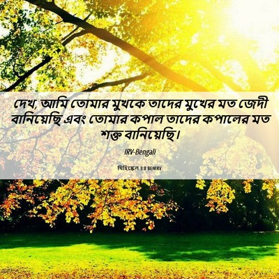 Picture 06 - যিহিষ্কেল 3:8 BENIRV - দেখ, আমি তোমার - Bible Verse Picture