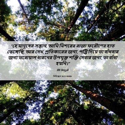 Picture 06 - যিহিষ্কেল 30:21 BENIRV - “হে - Bible Verse Picture