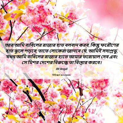 Picture 06 - যিহিষ্কেল 30:25 BENIRV - আর আমি বাবিলের - Bible Verse Picture