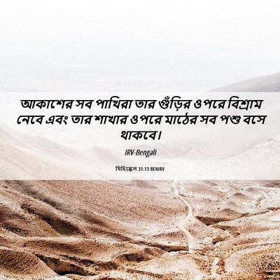 Picture 06 - যিহিষ্কেল 31:13 BENIRV - আকাশের সব পাখিরা - Bible Verse Picture