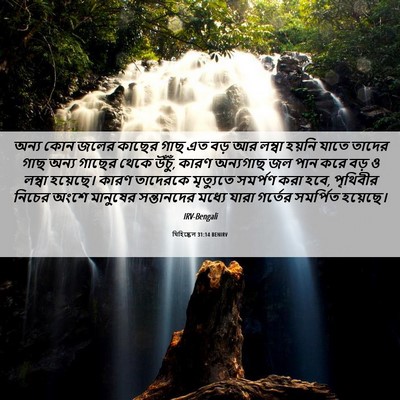 Picture 06 - যিহিষ্কেল 31:14 BENIRV - অন্য কোন জলের - Bible Verse Picture