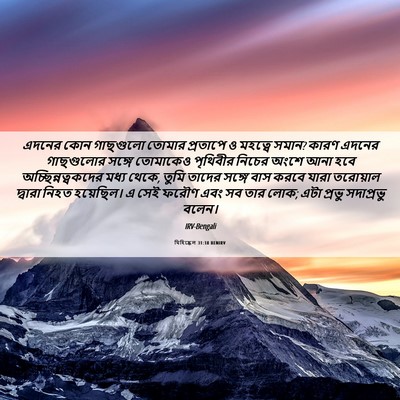Picture 06 - যিহিষ্কেল 31:18 BENIRV - এদনের কোন গাছগুলো - Bible Verse Picture