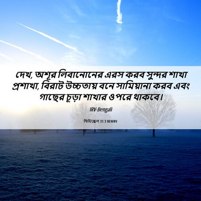 Picture 06 - যিহিষ্কেল 31:3 BENIRV - দেখ, অশূর - Bible Verse Picture