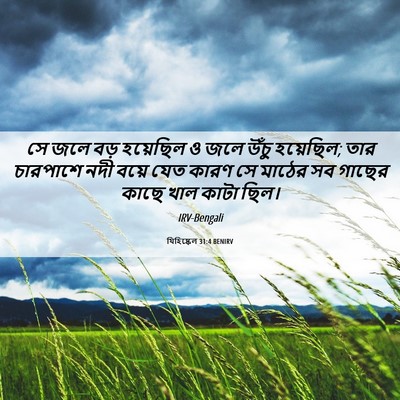Picture 06 - যিহিষ্কেল 31:4 BENIRV - সে জলে বড় হয়েছিল - Bible Verse Picture