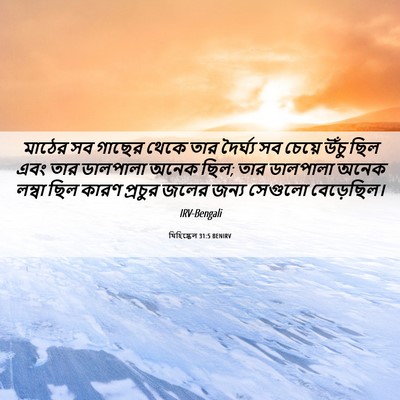 Picture 06 - যিহিষ্কেল 31:5 BENIRV - মাঠের সব গাছের - Bible Verse Picture