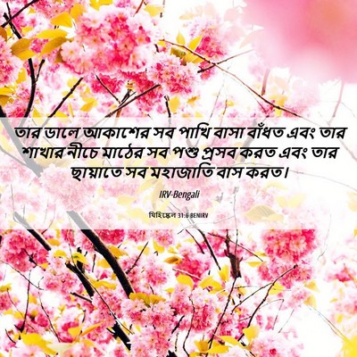 Picture 06 - যিহিষ্কেল 31:6 BENIRV - তার ডালে আকাশের সব - Bible Verse Picture