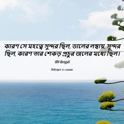 Picture 06 - যিহিষ্কেল 31:7 BENIRV - কারণ সে মহত্বে - Bible Verse Picture