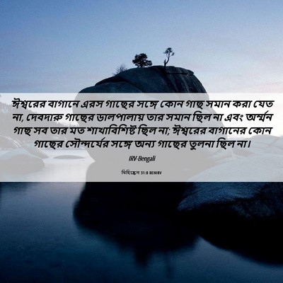 Picture 06 - যিহিষ্কেল 31:8 BENIRV - ঈশ্বরের বাগানে - Bible Verse Picture