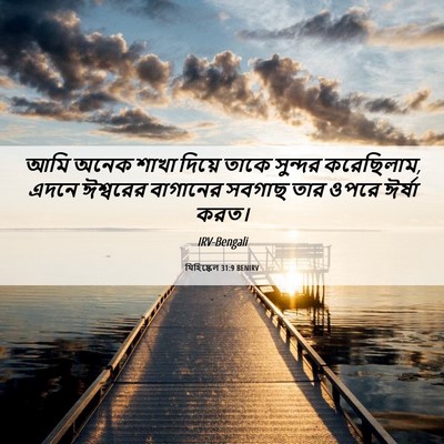 Picture 06 - যিহিষ্কেল 31:9 BENIRV - আমি অনেক শাখা - Bible Verse Picture