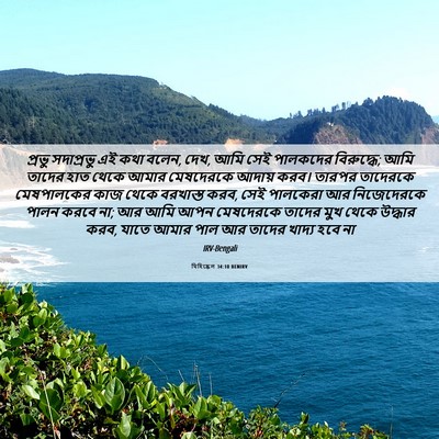 Picture 06 - যিহিষ্কেল 34:10 BENIRV - প্রভু সদাপ্রভু এই - Bible Verse Picture