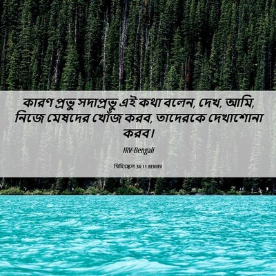 Picture 06 - যিহিষ্কেল 34:11 BENIRV - কারণ প্রভু - Bible Verse Picture