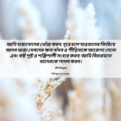 Picture 06 - যিহিষ্কেল 34:16 BENIRV - আমি হারানোদের - Bible Verse Picture