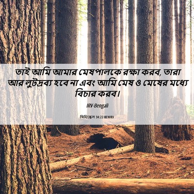 Picture 06 - যিহিষ্কেল 34:22 BENIRV - তাই আমি আমার - Bible Verse Picture