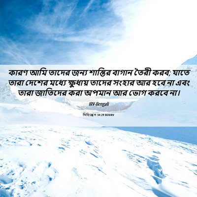 Picture 06 - যিহিষ্কেল 34:29 BENIRV - কারণ আমি তাদের - Bible Verse Picture