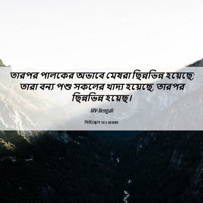 Picture 06 - যিহিষ্কেল 34:5 BENIRV - তারপর পালকের - Bible Verse Picture