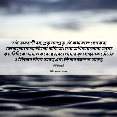 Picture 06 - যিহিষ্কেল 36:3 BENIRV - তাই ভাববাণী বল, - Bible Verse Picture