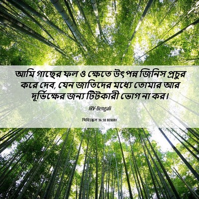 Picture 06 - যিহিষ্কেল 36:30 BENIRV - আমি গাছের ফল ও - Bible Verse Picture
