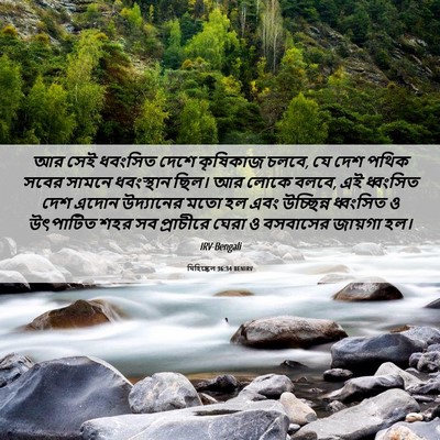 Picture 06 - যিহিষ্কেল 36:34 BENIRV - আর সেই ধবংসিত দেশে - Bible Verse Picture