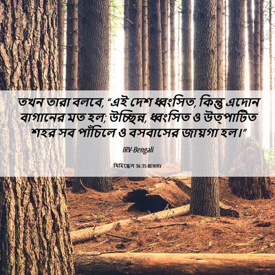 Picture 06 - যিহিষ্কেল 36:35 BENIRV - তখন তারা বলবে, “এই - Bible Verse Picture