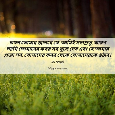 Picture 06 - যিহিষ্কেল 37:13 BENIRV - তখন তোমার জানবে যে, - Bible Verse Picture