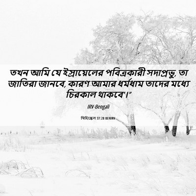 Picture 06 - যিহিষ্কেল 37:28 BENIRV - তখন আমি যে - Bible Verse Picture