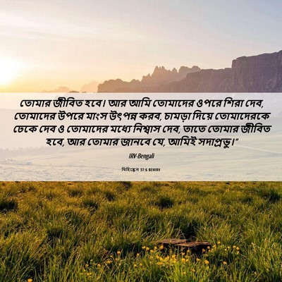 Picture 06 - যিহিষ্কেল 37:6 BENIRV - তোমার জীবিত হবে। - Bible Verse Picture