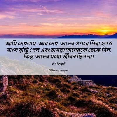 Picture 06 - যিহিষ্কেল 37:8 BENIRV - আমি দেখলাম, আর দেখ, - Bible Verse Picture