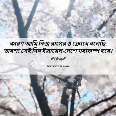 Picture 06 - যিহিষ্কেল 38:19 BENIRV - কারণ আমি নিজ রাগের - Bible Verse Picture