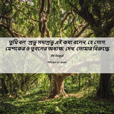 Picture 06 - যিহিষ্কেল 38:3 BENIRV - তুমি বল, ‘প্রভু - Bible Verse Picture