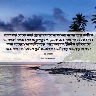 Picture 06 - যিহিষ্কেল 39:10 BENIRV - তারা মাঠ থেকে কাঠ - Bible Verse Picture