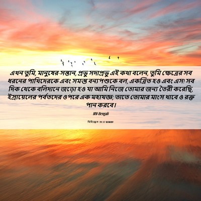 Picture 06 - যিহিষ্কেল 39:17 BENIRV - এখন তুমি, - Bible Verse Picture