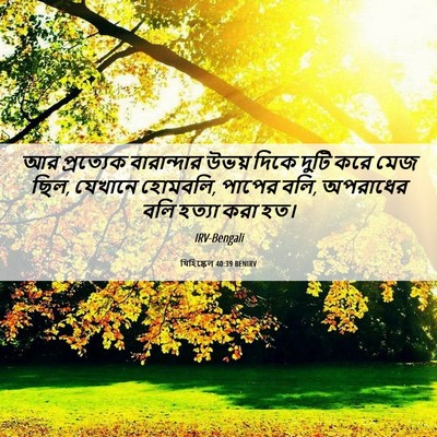 Picture 06 - যিহিষ্কেল 40:39 BENIRV - আর প্রত্যেক - Bible Verse Picture