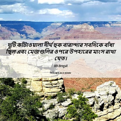Picture 06 - যিহিষ্কেল 40:43 BENIRV - দুটি কাঁটাওয়ালা - Bible Verse Picture
