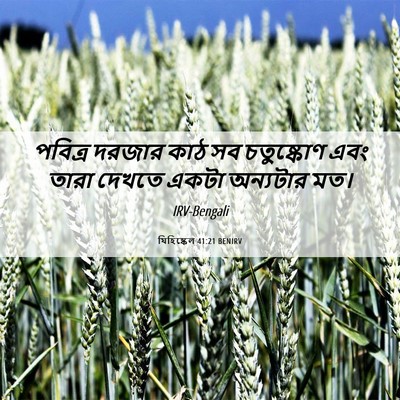 Picture 06 - যিহিষ্কেল 41:21 BENIRV - পবিত্র দরজার কাঠ - Bible Verse Picture