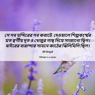 Picture 06 - যিহিষ্কেল 41:25 BENIRV - সে সব মন্দিরের সব - Bible Verse Picture