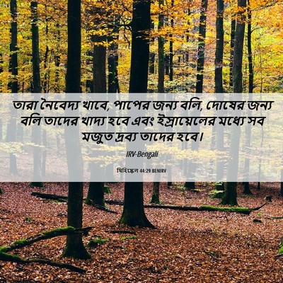 Picture 06 - যিহিষ্কেল 44:29 BENIRV - তারা নৈবেদ্য খাবে, - Bible Verse Picture