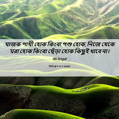 Picture 06 - যিহিষ্কেল 44:31 BENIRV - যাজক পাখী হোক - Bible Verse Picture