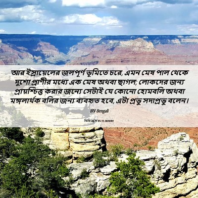 Picture 06 - যিহিষ্কেল 45:15 BENIRV - আর ইস্রায়েলের - Bible Verse Picture