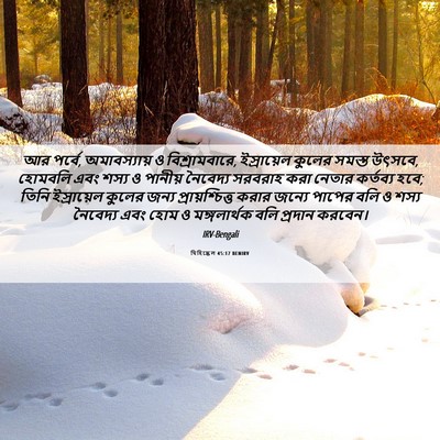 Picture 06 - যিহিষ্কেল 45:17 BENIRV - আর পর্বে, - Bible Verse Picture