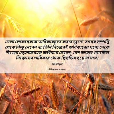 Picture 06 - যিহিষ্কেল 46:18 BENIRV - নেতা লোকদেরকে - Bible Verse Picture