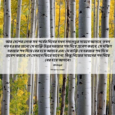 Picture 06 - যিহিষ্কেল 46:9 BENIRV - আর দেশের লোক সব - Bible Verse Picture